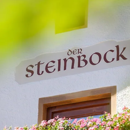 Hildegard Der Steinbock Sommerwohnung Winterferienhaus *