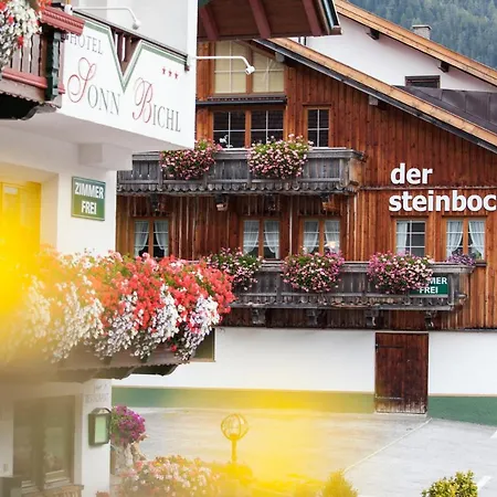 Appartement Hildegard Der Steinbock Sommerwohnung Winterferienhaus *